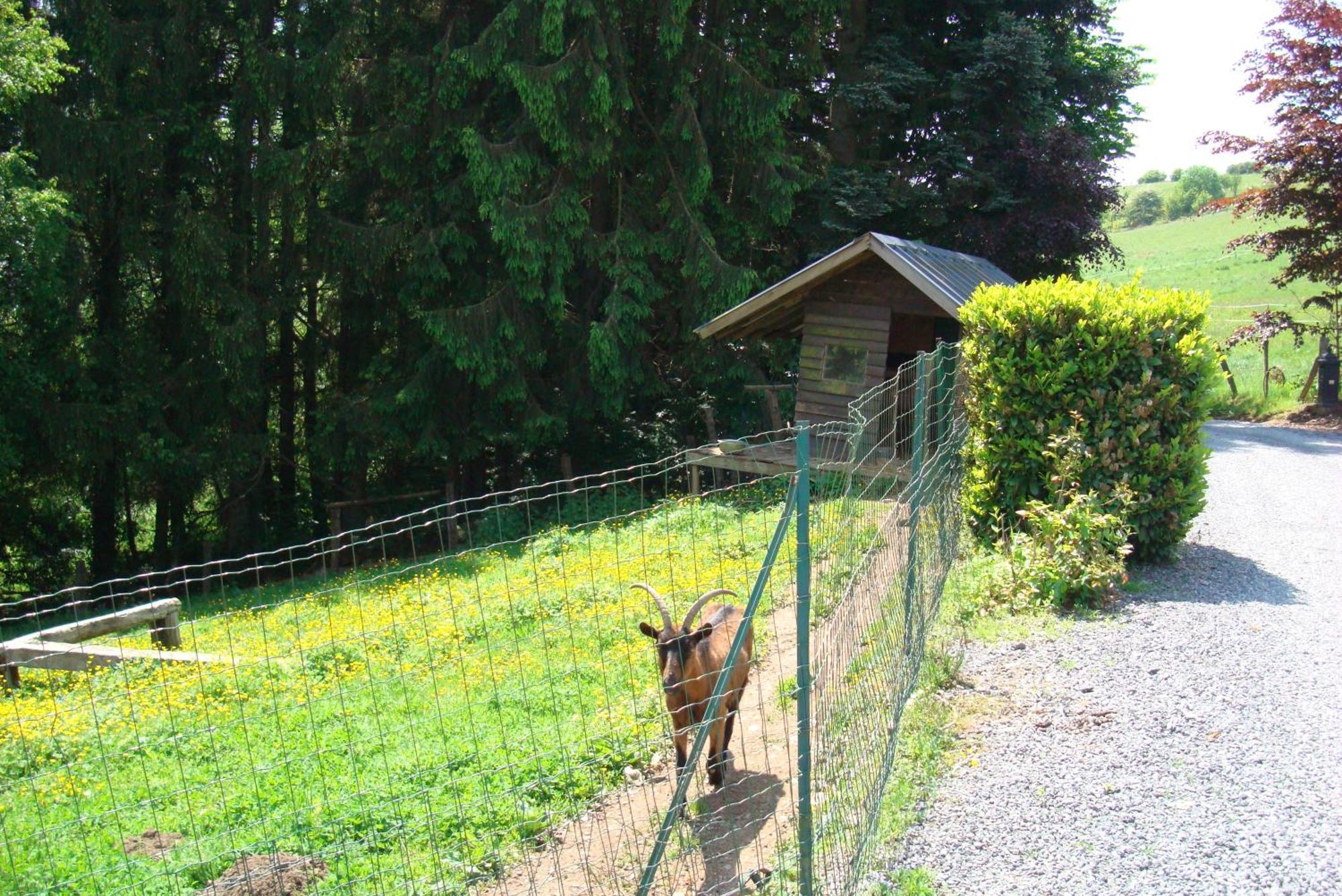 Gite La Gernelle Bouillon Exteriör bild